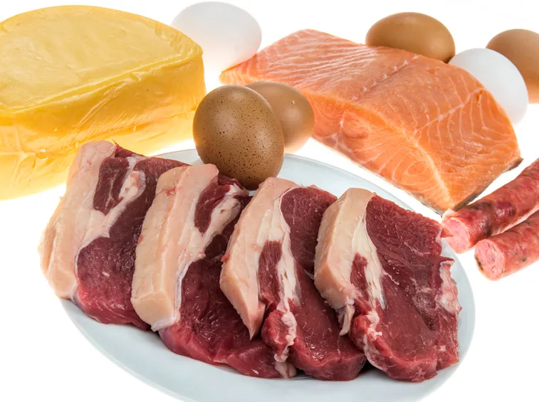 alimenti proteici