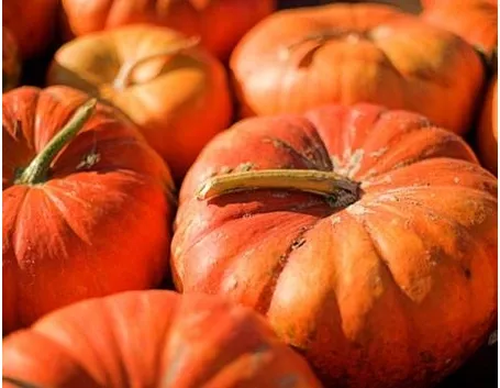 vitamina A alimenti