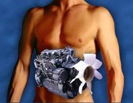 metabolismo