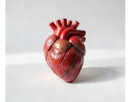 Correre fa bene al cuore